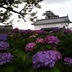PAP_0074.JPG